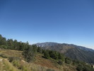 photo thumbnail #10