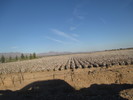 photo thumbnail #14