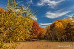 photo thumbnail #3