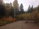 photo thumbnail #1