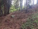 photo thumbnail #14