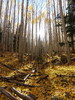 photo thumbnail #3
