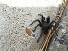 photo thumbnail #7