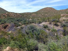 photo thumbnail #9