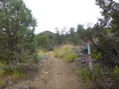 photo thumbnail #2