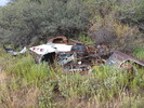 photo thumbnail #5