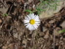 photo thumbnail #11