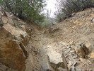 photo thumbnail #14