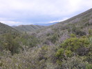 photo thumbnail #15