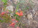 photo thumbnail #13