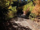 photo thumbnail #4