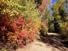 photo thumbnail #5