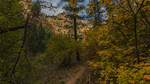 photo thumbnail #5