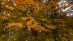 photo thumbnail #13