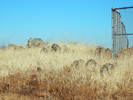 photo thumbnail #6
