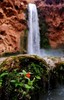 photo thumbnail #15