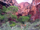 photo thumbnail #7
