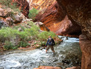 photo thumbnail #9