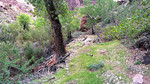 photo thumbnail #13