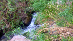 Featured Detail Photo