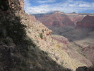 photo thumbnail #8