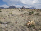 photo thumbnail #15