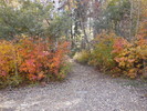 photo thumbnail #9