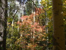 photo thumbnail #12