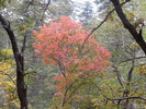 photo thumbnail #14