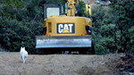 photo thumbnail #3