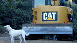 photo thumbnail #4