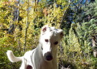 photo thumbnail #8