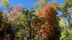 photo thumbnail #11