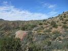 photo thumbnail #5