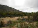 photo thumbnail #6
