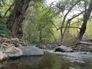 photo thumbnail #8