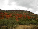photo thumbnail #12