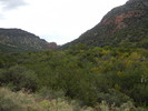 photo thumbnail #13