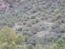 photo thumbnail #14