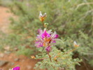 photo thumbnail #15