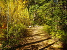 photo thumbnail #9