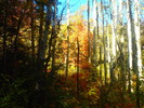 photo thumbnail #10