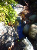 photo thumbnail #14