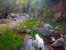 photo thumbnail #1