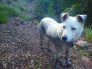 photo thumbnail #14
