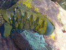 photo thumbnail #12