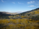 photo thumbnail #10