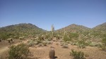 photo thumbnail #1