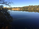 photo thumbnail #2