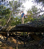 photo thumbnail #11